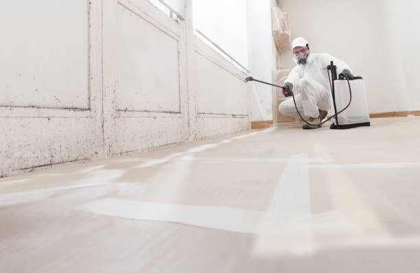 24/7 Emergency Mold Remediation experts in Kittredge, CO